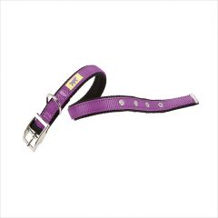  Dual CF15/35-Purple  Nylon Collars